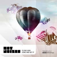 Hot Noizes — Dubstep 2013 - The Ultimate Hits